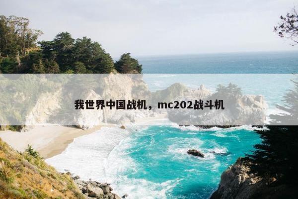 我世界中国战机，mc202战斗机