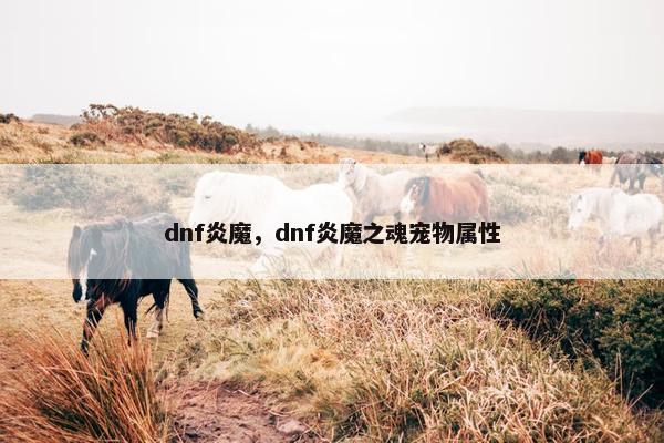 dnf炎魔，dnf炎魔之魂宠物属性