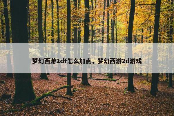 梦幻西游2df怎么加点，梦幻西游2d游戏