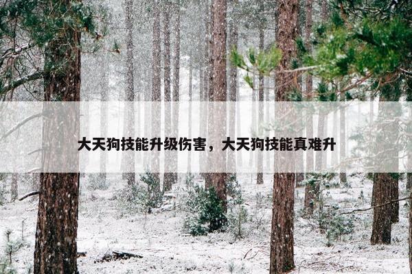 大天狗技能升级伤害，大天狗技能真难升