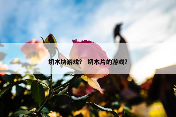 切木块游戏？ 切木片的游戏？