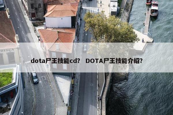 dota尸王技能cd？ DOTA尸王技能介绍？
