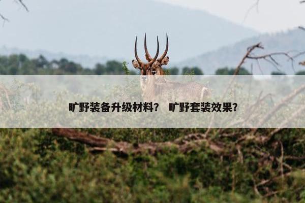 旷野装备升级材料？ 旷野套装效果？