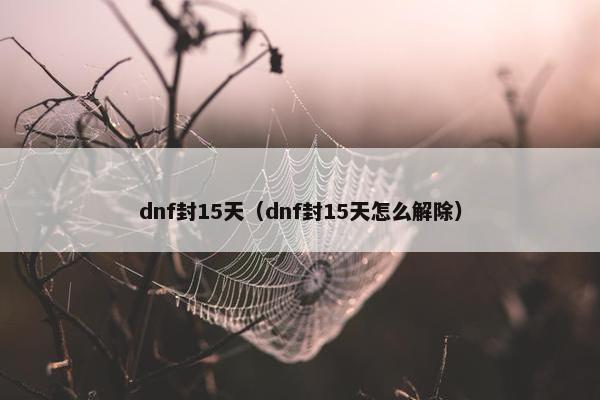 dnf封15天（dnf封15天怎么解除）