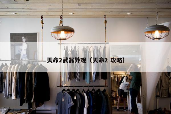 天命2武器外观（天命2 攻略）