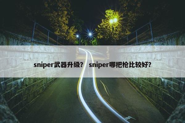 sniper武器升级？ sniper哪把枪比较好？