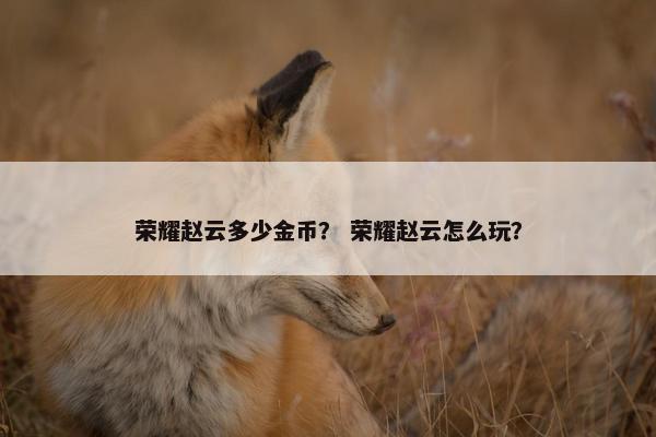 荣耀赵云多少金币？ 荣耀赵云怎么玩？