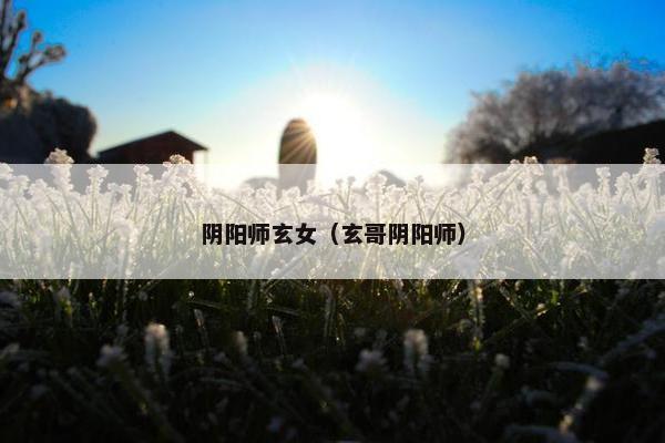 阴阳师玄女（玄哥阴阳师）