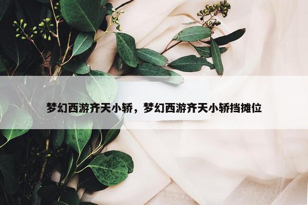 梦幻西游齐天小轿，梦幻西游齐天小轿挡摊位