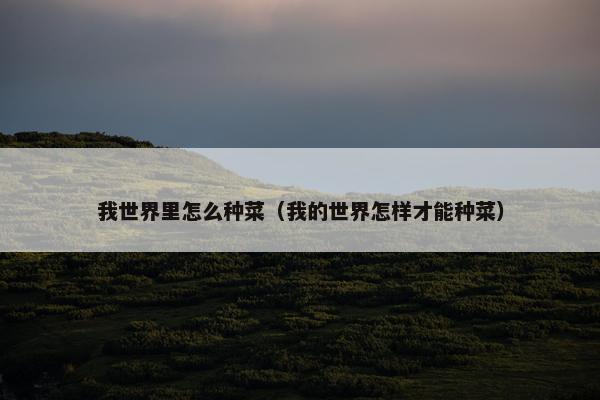 我世界里怎么种菜（我的世界怎样才能种菜）