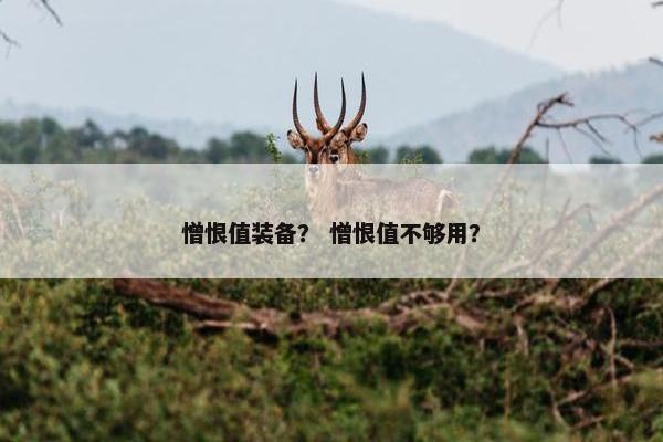 憎恨值装备？ 憎恨值不够用？