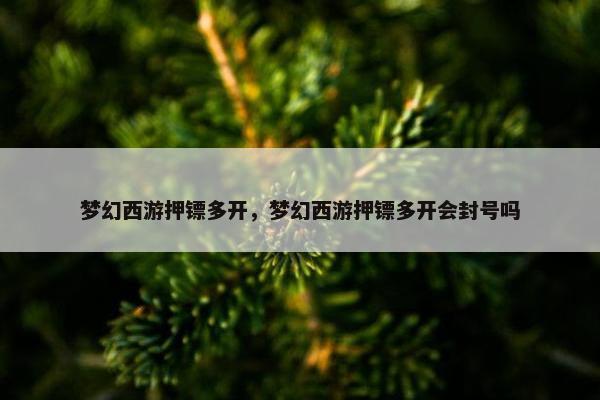 梦幻西游押镖多开，梦幻西游押镖多开会封号吗