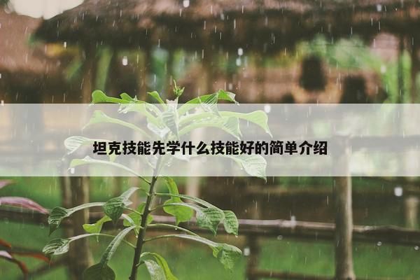 坦克技能先学什么技能好的简单介绍