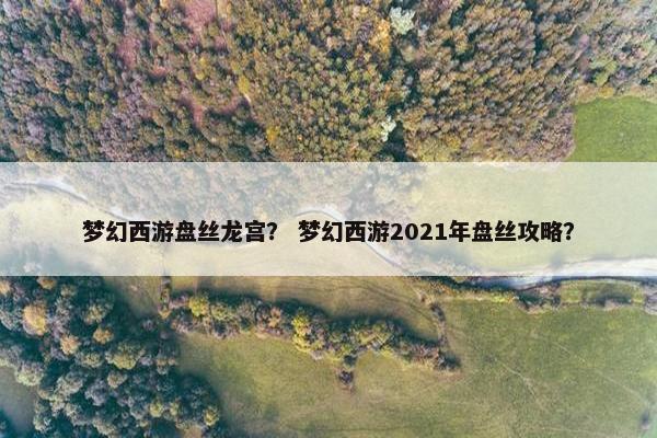 梦幻西游盘丝龙宫？ 梦幻西游2021年盘丝攻略？