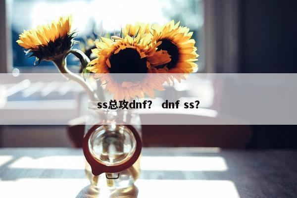 ss总攻dnf？ dnf ss？
