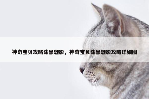 神奇宝贝攻略漆黑魅影，神奇宝贝漆黑魅影攻略详细图