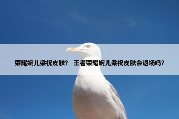 荣耀婉儿梁祝皮肤？ 王者荣耀婉儿梁祝皮肤会返场吗？