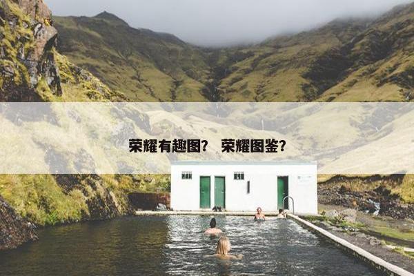 荣耀有趣图？ 荣耀图鉴？