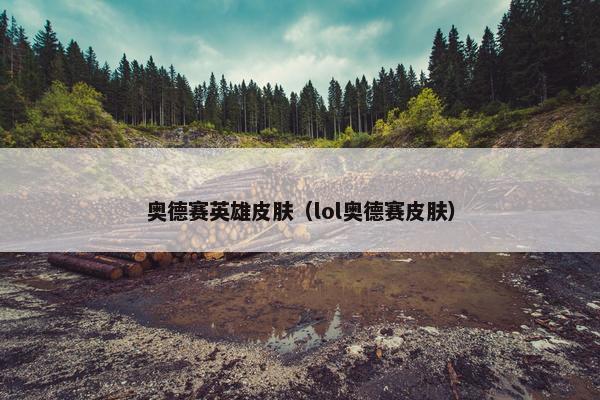 奥德赛英雄皮肤（lol奥德赛皮肤）