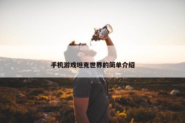 手机游戏坦克世界的简单介绍
