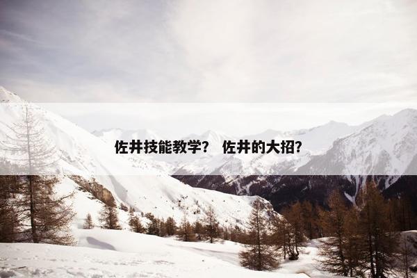 佐井技能教学？ 佐井的大招？