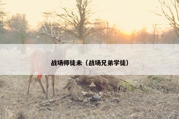 战场师徒未（战场兄弟学徒）