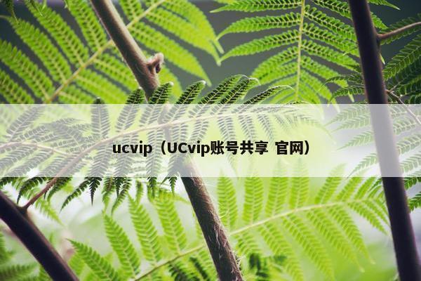 ucvip（UCvip账号共享 官网）