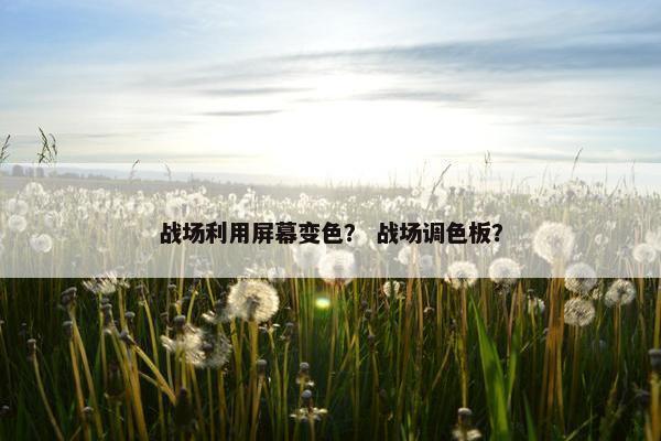 战场利用屏幕变色？ 战场调色板？