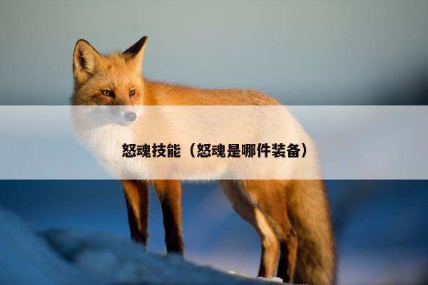 怒魂技能（怒魂是哪件装备）