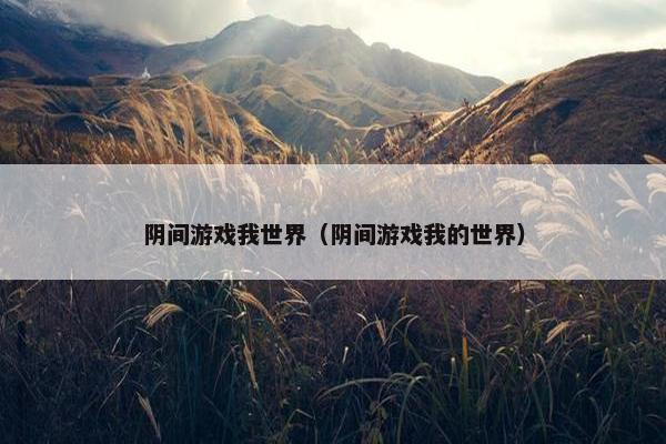阴间游戏我世界（阴间游戏我的世界）