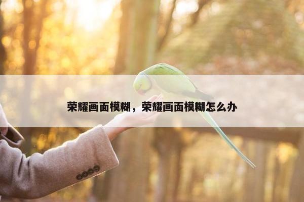 荣耀画面模糊，荣耀画面模糊怎么办