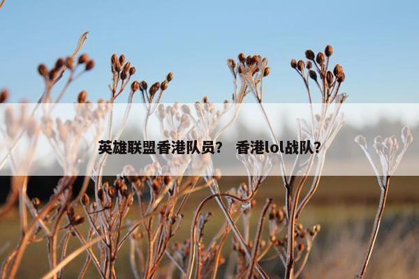 英雄联盟香港队员？ 香港lol战队？