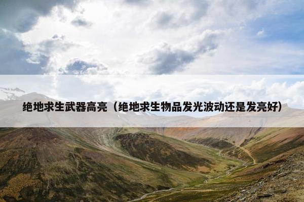 绝地求生武器高亮（绝地求生物品发光波动还是发亮好）