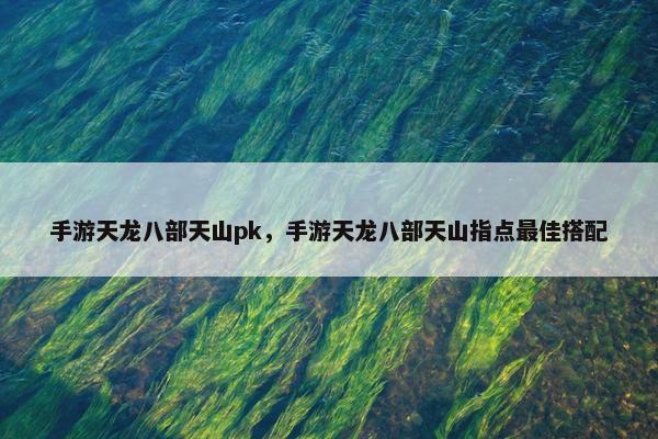手游天龙八部天山pk，手游天龙八部天山指点最佳搭配
