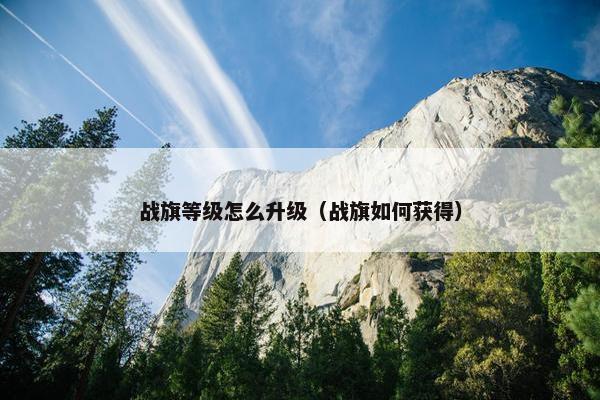 战旗等级怎么升级（战旗如何获得）