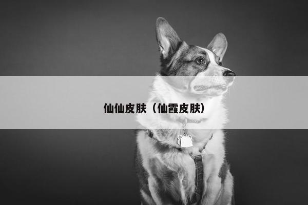 仙仙皮肤（仙霞皮肤）