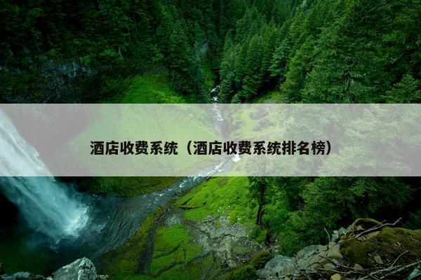 酒店收费系统（酒店收费系统排名榜）