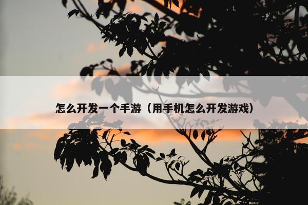 怎么开发一个手游（用手机怎么开发游戏）