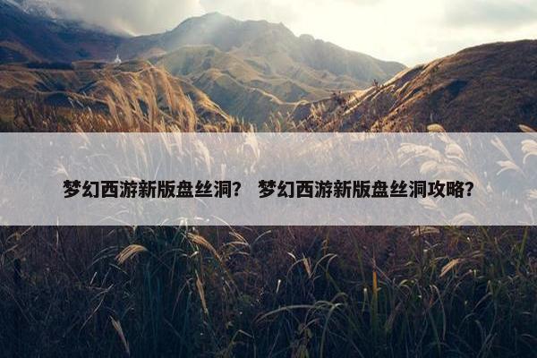 梦幻西游新版盘丝洞？ 梦幻西游新版盘丝洞攻略？