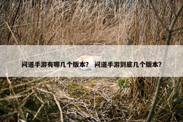 问道手游有哪几个版本？ 问道手游到底几个版本？