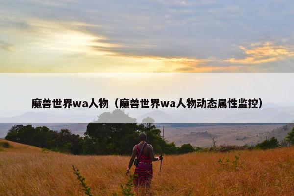 魔兽世界wa人物（魔兽世界wa人物动态属性监控）