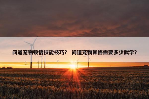 问道宠物顿悟技能技巧？ 问道宠物顿悟需要多少武学？