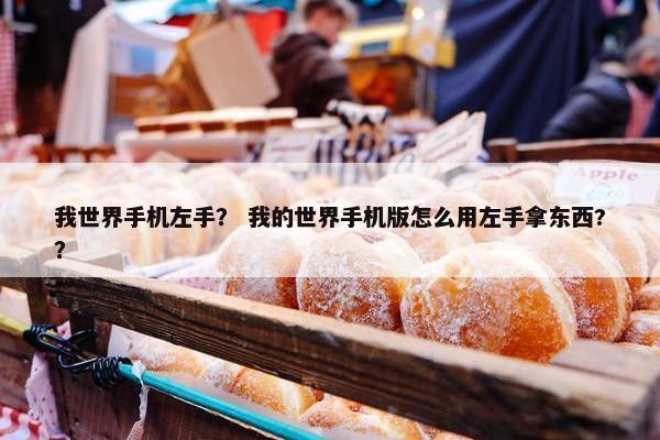 我世界手机左手？ 我的世界手机版怎么用左手拿东西?？