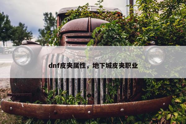 dnf皮夹属性，地下城皮夹职业