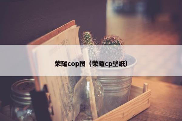 荣耀cop图（荣耀cp壁纸）
