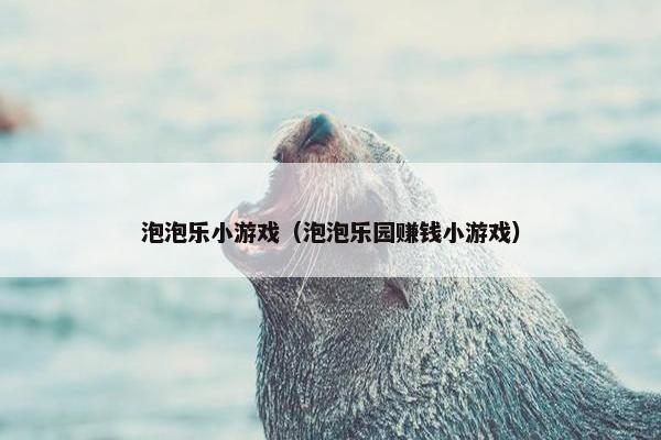 泡泡乐小游戏（泡泡乐园赚钱小游戏）