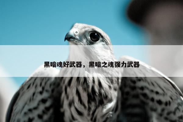 黑暗魂好武器，黑暗之魂强力武器