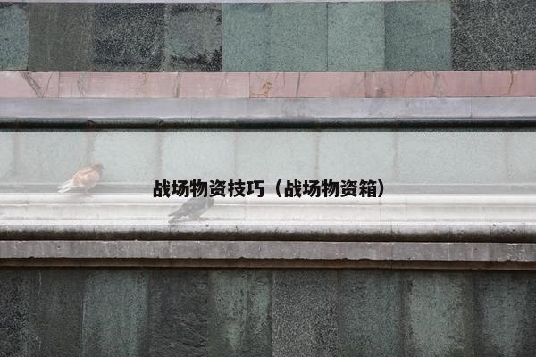 战场物资技巧（战场物资箱）