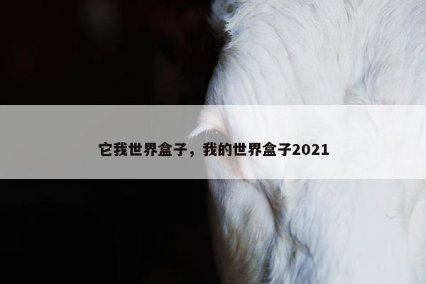它我世界盒子，我的世界盒子2021