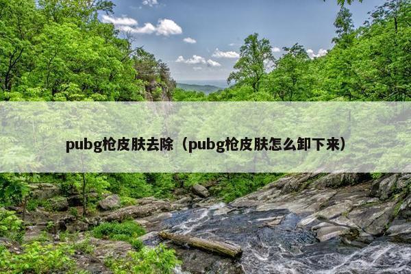 pubg枪皮肤去除（pubg枪皮肤怎么卸下来）